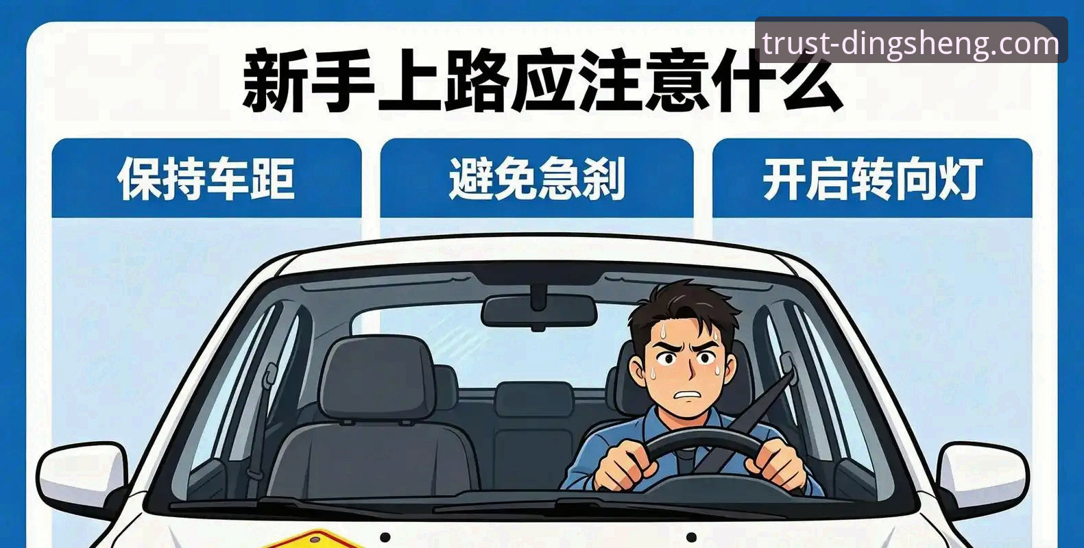 鼎盛官方下载最新版 新手必看!鼎盛官方下载最新版完整使用心得与实战经验分享