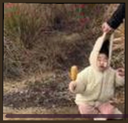 赵哥